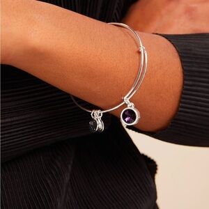 🌹NEW:Alex and Ani Silver Bangle with February Purple Charm